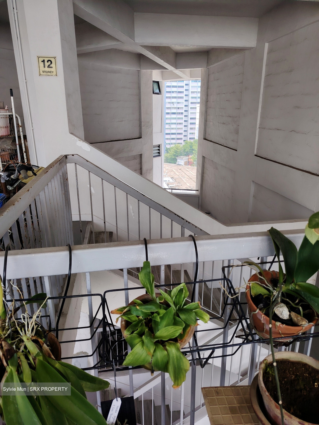 Blk 14 Saint George's Road (Kallang/Whampoa), HDB 3 Rooms #548571151